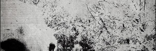 The Ruin Season – Coming June 23rd